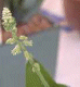 20030226