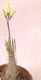20030205